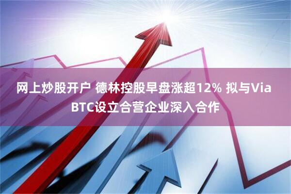 网上炒股开户 德林控股早盘涨超12% 拟与Via BTC设立合营企业深入合作