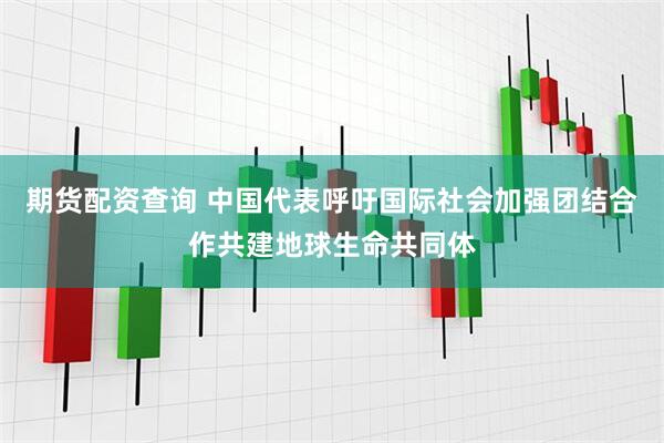 期货配资查询 中国代表呼吁国际社会加强团结合作共建地球生命共同体