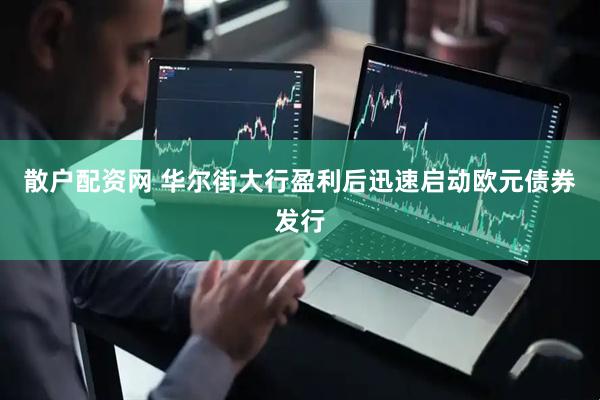 散户配资网 华尔街大行盈利后迅速启动欧元债券发行